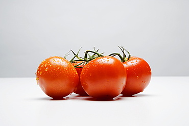 Vine Tomatoes