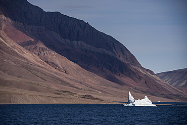 Small iceberg floating in Greenland's Kaiser Franz Joseph Fjord, East Greenland, Greenland