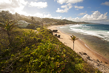 Scenic view down the coastline looking north from Bathsheba, Bathsheba, Barbados, Caribbean