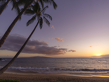 Silhouette of tropical palm trees along the shore at Ulua Beach with a golden sun reflecting on the Pacific Ocean at twilight, Kihei, Wailea, Maui, Hawaii, United States of America