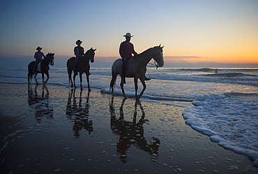 Cowboys ride their horses at sunrise along Virginia Beach in First Landing State Park, Virginia, USA, Virginia Beach, Virginia, United States of America