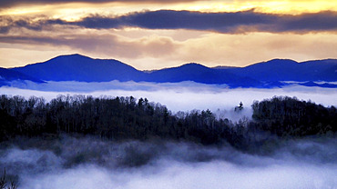 Clouds outline mountain ridges, evergreens, and bare trees during a winter sunset, Weaverville, North Carolina, United States of America