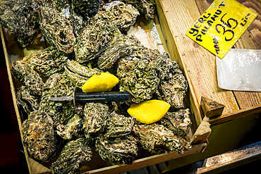 Fresh oysters for sale at a market in Beyoglu, Instanbul, Turkey, Instanbul, Turkey