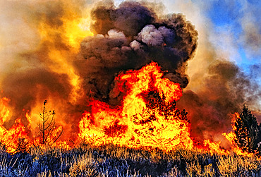 Flames leap high as a wildfire caused by lightning spreads into the night along a ridge line, Malad River, Idaho, United States of America