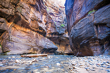 View of the river and rock cliffs of The Narrows, Zion National Park, Utah, United States of America