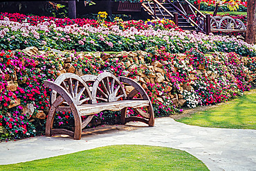 Close-up of a wagon wheel garden bench and flowerbeds, Chiang Rai, Thailand