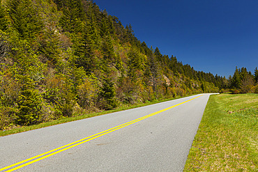 Scenic of the Blue Ridge Parkway on a bright springtime day, North Carolina, USA, North Carolina, United States of America