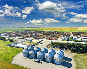 Aerial view of rows of large metal grain bins with cattle stockyard in the background with blue sky and clouds, East of Langdon, Alberta, Canada, Alberta, Canada