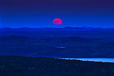 Dramatic moonrise in pink and blue, Terra Nova National Park, Newfoundland, Canada, Newfoundland and Labrador, Canada