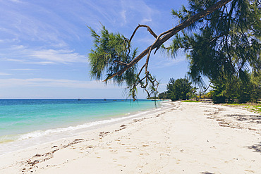 Beautiful scene of a white sand beach and tropical vegetation along Puru Kambera Beach, East Nusa Tenggara, Indonesia, Hamba Praing, Kanatang, East Sumba Regency, East Nusa Tenggara, Indonesia