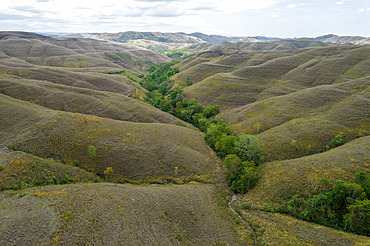 Vast hilly landscape with trees at Bukit Wairinding, East Nusa Tenggara, Indonesia, Makamenggit, Nggaha Oriangu, East Sumba Regency, East Nusa Tenggara, Indonesia