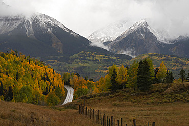 Fall colors abound in Colorado during the seasonal change. Brilliant yellow leaves adorn the trees as far as you can see. A beautiful state to drive through during autumn, Colorado, United States of America