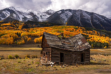 Aspen trees turn the color of an artist palette during autumn in Colorado. Colour extends as far as the eye can see in one of natures most beautiful example of fall colors. This has an abandoned cabin in the foreground, Grand Junction, Colorado, United States of America