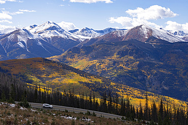 Fall colors abound in Colorado during the seasonal change. Brilliant yellow leaves adorn the trees as far as you can see. A beautiful state to drive through during autumn, Colorado, United States of America