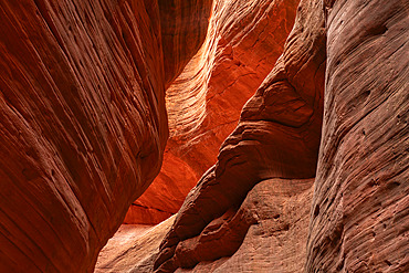 Striated corridors of Mystic Canyon are amazing to walk through and explore. Eons of erosion have created amazing feats of nature, Kanab, Utah, United States of America