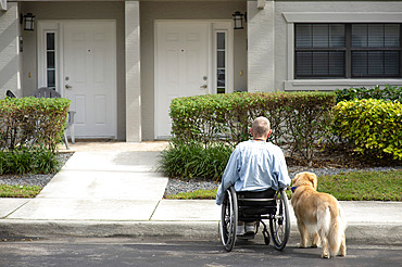 Paraplegic man in a manual wheelchair limited at a curb with his service dog outside of a residential building, Boynton Beach, Florida, United States of America