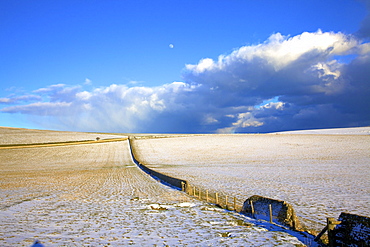 Snow covered South Downs farm land, East Dean, East Sussex, England, United Kingdom, Europe