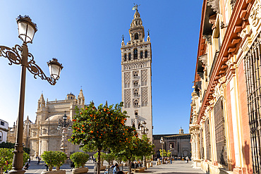 Seville Cathedral Exterior, UNESCO World Heritage Site, Seville, Andalusia, Spain, Europe