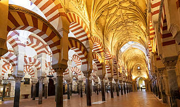 Interior of The Mosque (Mezquita) and Cathedral of Cordoba, UNESCO World Heritage Site, Cordoba, Andalusia, Spain, Europe