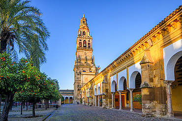 The Mosque (Mezquita) and Cathedral of Cordoba and Surrounding Gallery, UNESCO World Heritage Site, Cordoba, Andalusia, Spain, Europe