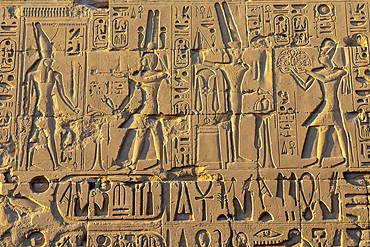 Stone Carvings and Hieroglyphs at Karnak Temple, Luxor, Thebes, UNESCO World Heritage Site, Egypt, North Africa, Africa