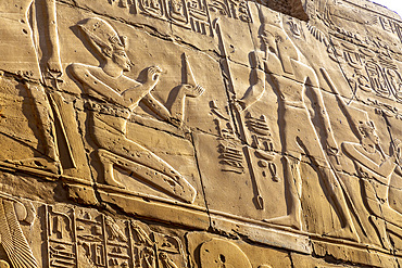 Stone Carvings and Hieroglyphs at Karnak Temple, Luxor, Thebes, UNESCO World Heritage Site, Egypt, North Africa, Africa