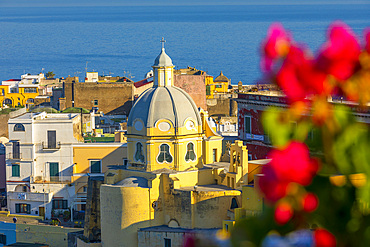 Marina di Corricella, Procida, Flegrean Islands, Campania, Italy, Europe