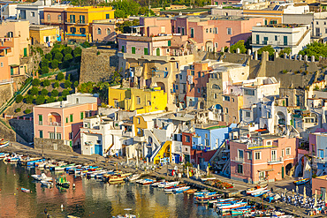 Aerial of Marina di Corricella, Procida, Flegrean Islands, Campania, Italy, Europe