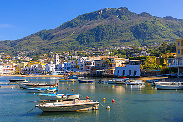 The Waterfront at Lacco Ameno, Island of Ischia, Campania, Italy, Europe