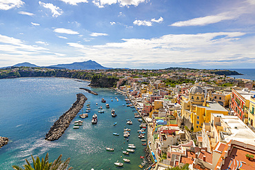 Marina di Corricella, Procida, Flegrean Islands, Campania, Italy, Europe