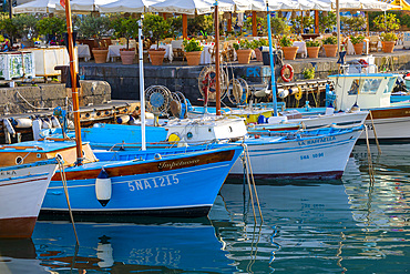 Fishing Boats at Marina Grande, Island of Capri, Campania, Italy, Europe