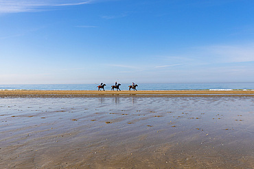 Riding horses on the Beach at Deauville, Deauville, Normandy, France, Europe