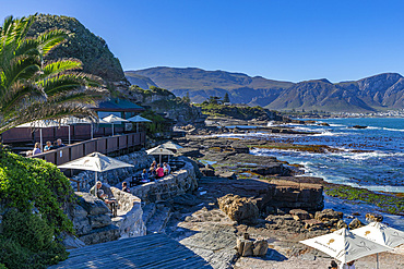 Restaurant, Walker Bay, Hermanus, Western Cape Province, South Africa, Africa