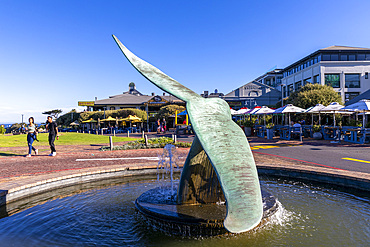 Whale Tail Sculpture, Hermanus, Western Cape Province, South Africa, Africa