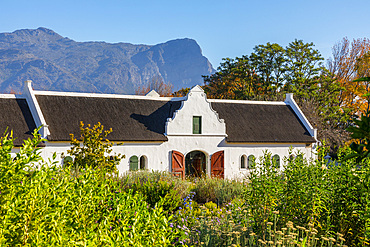 La Motte Wine Estate, Franschhoek Valley, Franschhoek, Western Cape Province, South Africa, Africa