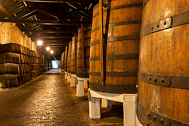 Port Cellars at Porto Ferreira, Porto, Portugal, Southern Europe