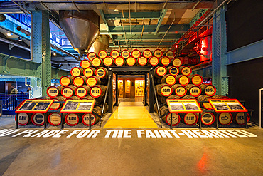 Beer Barrels, Guinness Storehouse, St. James's Gate Brewery, Dublin, Republic of Ireland, Europe