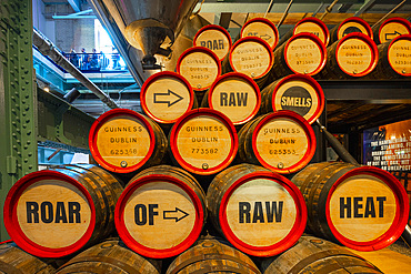 Beer Barrels, Guinness Storehouse, St. James's Gate Brewery, Dublin, Republic of Ireland, Europe