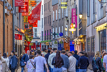 The Temple Bar, Temple Bar, Dublin, Republic of Ireland, Europe