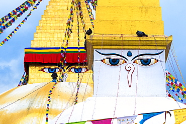 Largest Asian Stupa, Boudhanath Stupa, UNESCO World Heritage Site, Kathmandu, Nepal, Asia