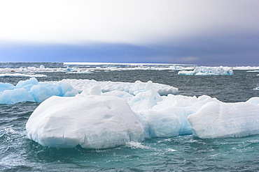 Iceberg drifting in Hinlopen Strait, Spitsbergen Island, Svalbard archipelago, Arctic, Norway, Europe