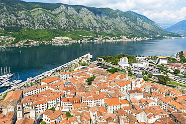 Aerial view of Kotor, Montenegro, Europe