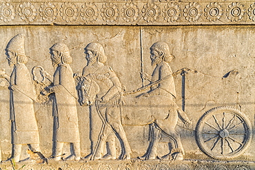 Apadana stairway facade, relief of the Achaemenids, Medes and Persians, Persepolis, UNESCO World Heritage Site, Fars Province, Islamic Republic of Iran, Middle East