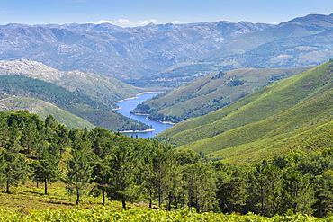 Landscape, Peneda Geres National Park, Minho, Portugal, Europe