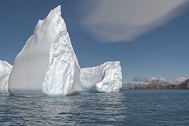 Ocean Harbour, Floating Icebergs, South Georgia Island, Antarctic, Polar Regions