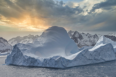 Cooper Bay, Floating Icebergs, South Georgia, South Georgia and the Sandwich Islands, Antarctica, Polar Regions