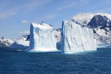 Drygalski Fjord, Floating Icebergs, South Georgia, South Georgia and the Sandwich Islands, Antarctica, Polar Regions