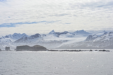 King Haakon Bay, snow covered mountains and glaciers, South Georgia, South Georgia and the Sandwich Islands, Antarctica, Polar Regions