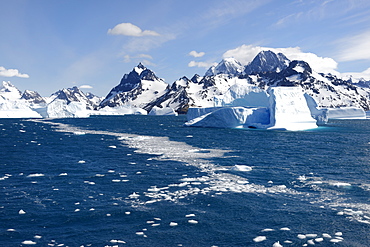 Drygalski Fjord, Floating Icebergs, South Georgia, South Georgia and the Sandwich Islands, Antarctica, Polar Regions