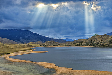 Laguna with marsh grass, Patagonia National Park, Chacabuco valley near Cochrane, Aysen Region, Patagonia, Chile, South America